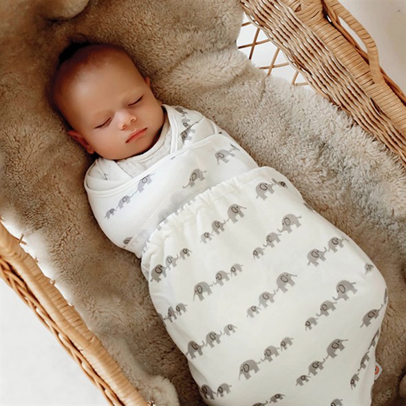 EB-0-0-SW-COT-ELE-LIFE-6-WEB