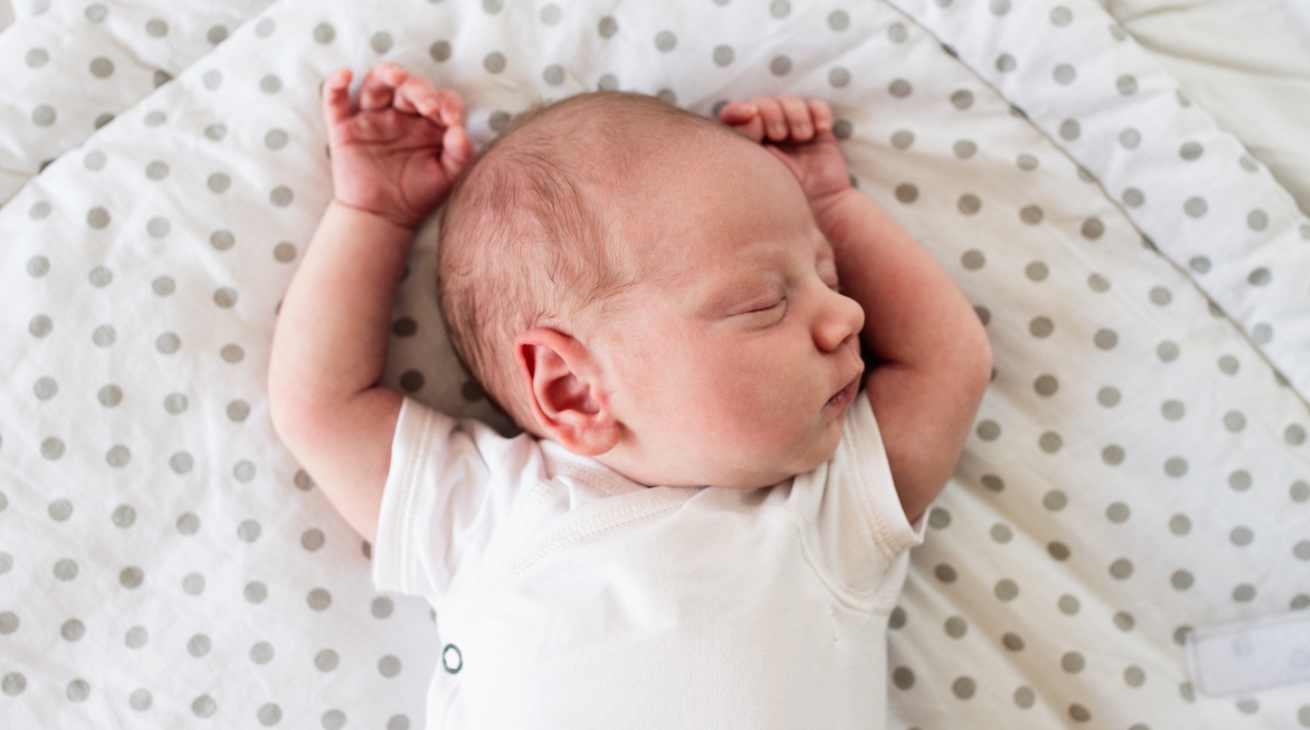 The power and purpose of sleep