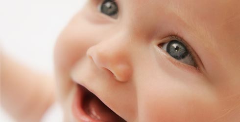 Baby guide week twelve