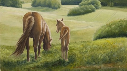 All the pretty horses