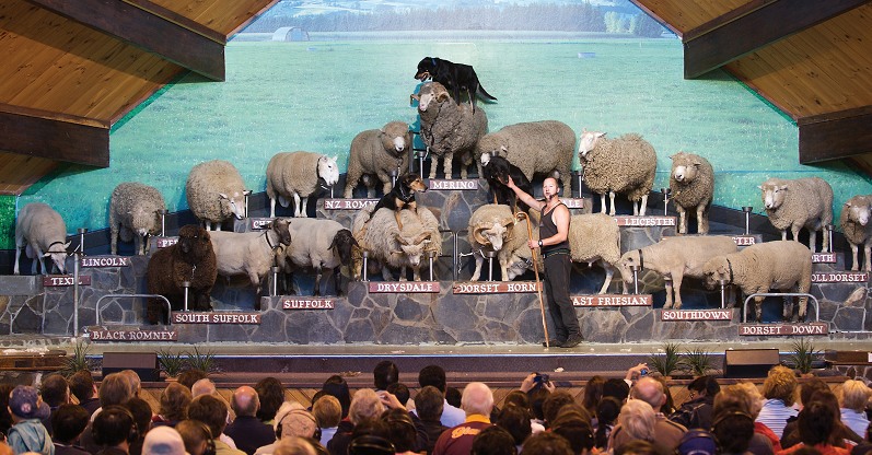 Family fun in Rotorua