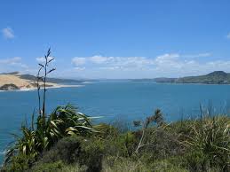 Things to do in Hokianga