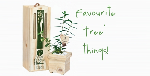 Favourite Tree things