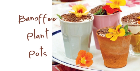 Banoffee Plant Pots