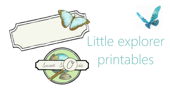 Little Explorer party labels