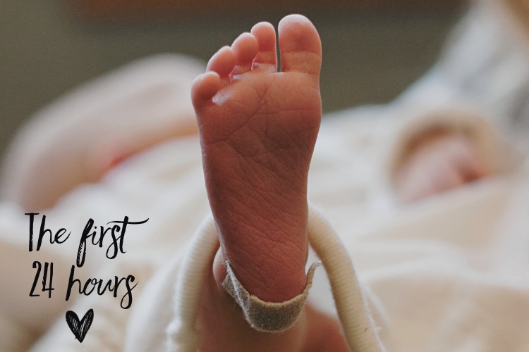 The incredible first 24 hours of baby's life