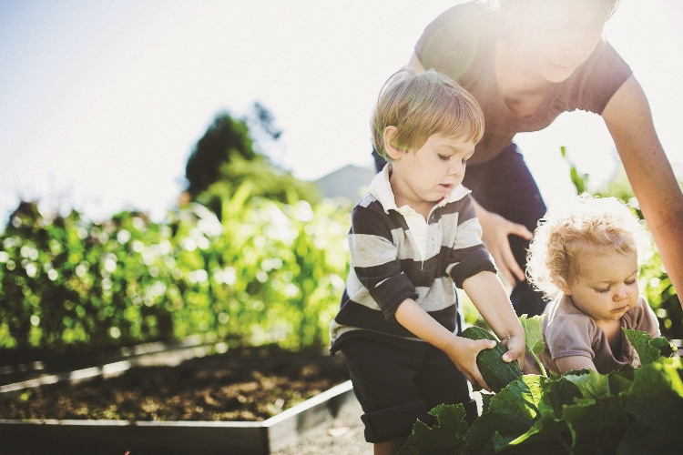 Growing superpowers in your child's mind
