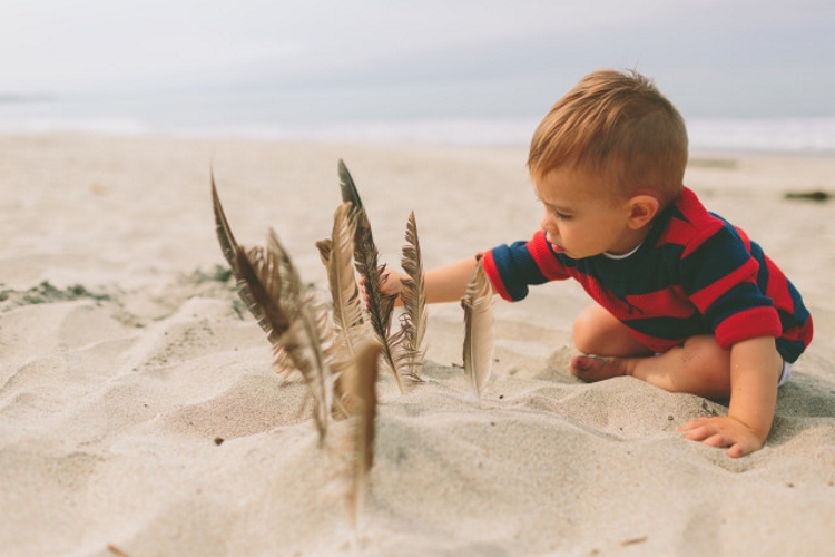 Beach trip survival guide