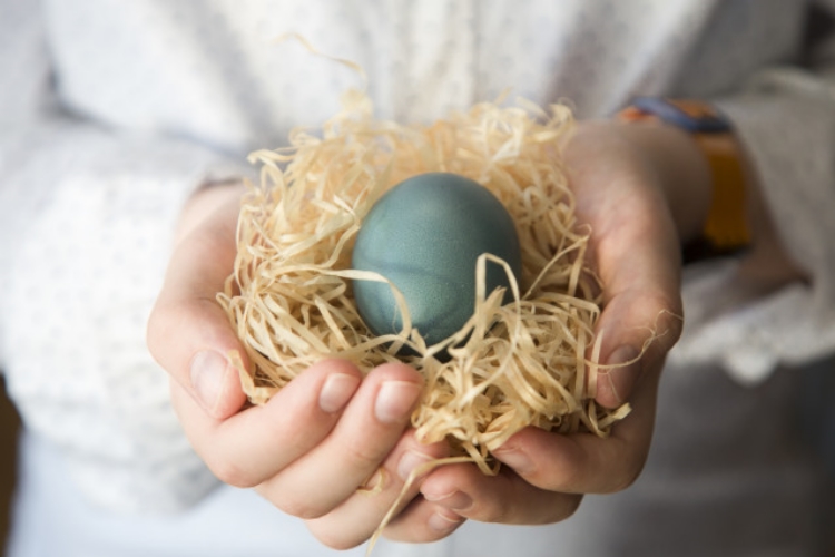 Conceiving medical miracles: the history of IVF