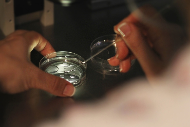 Egg and sperm donation: the ethics 