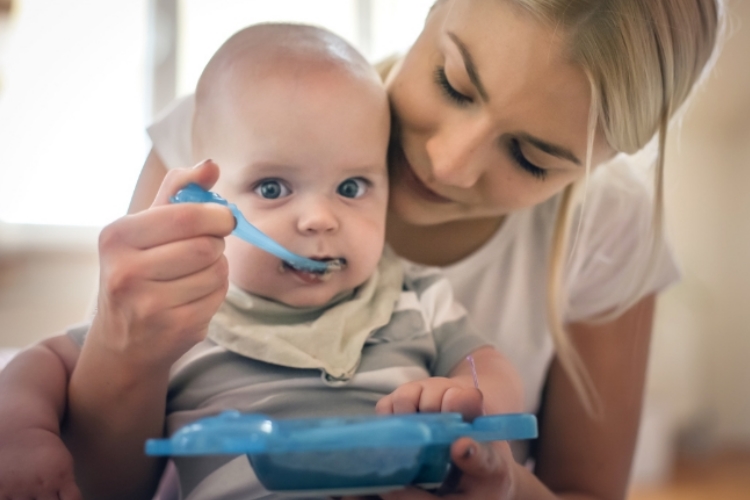 All you need to feed