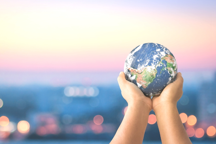 Trim your waste line