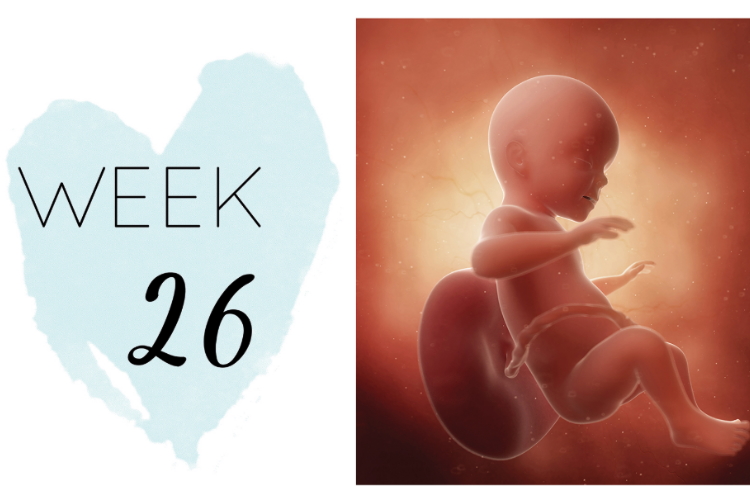 26 weeks pregnant