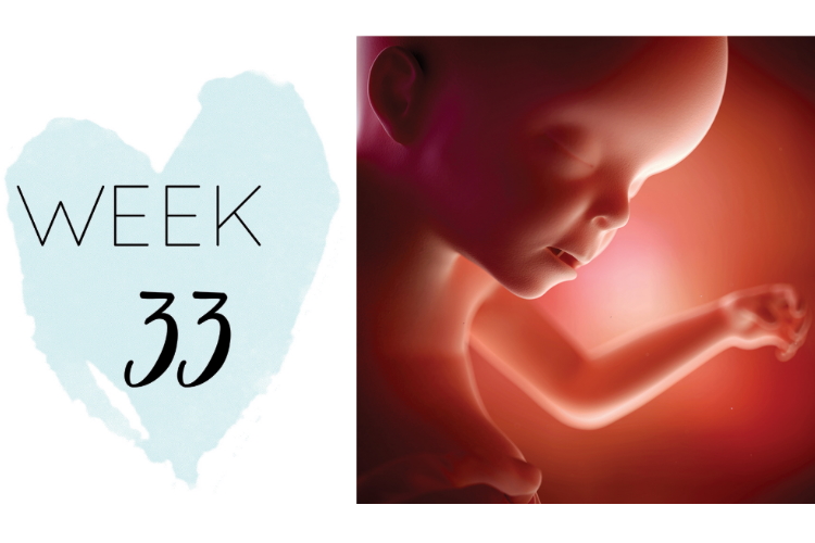 33 weeks pregnant