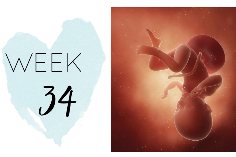 34 weeks pregnant