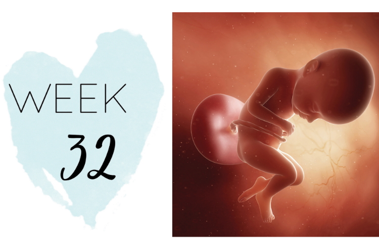 32 weeks pregnant
