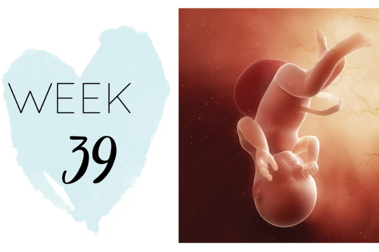 39 weeks pregnant