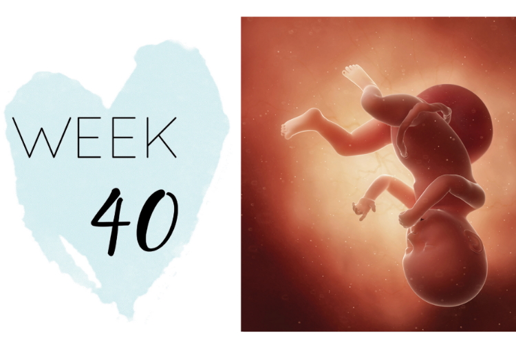 40 Weeks Pregnant  in NZ – What can symptoms can you expect?