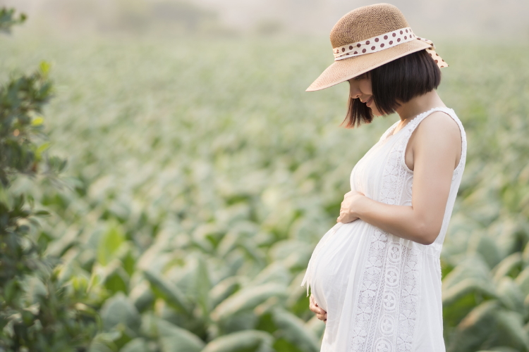 Nine tips to make pregnancy easier