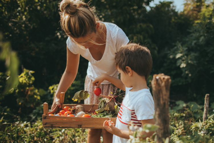 What I learned abut parenting from organic gardening