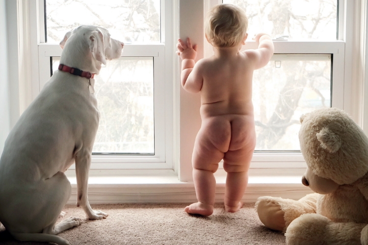 Paws for thought: does your little one need a pet?