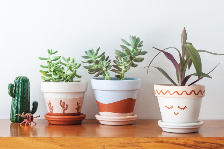 Terracotta pots transformed into pretty planters 