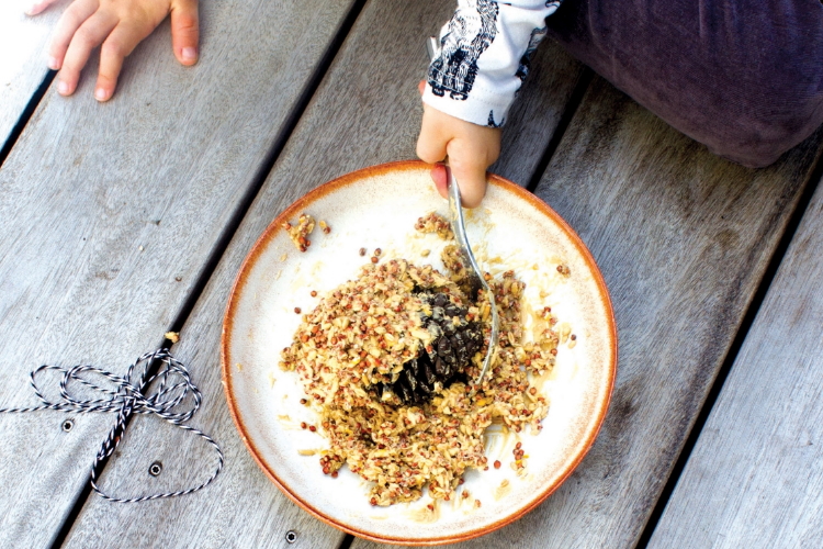 Make a pine cone bird feeder